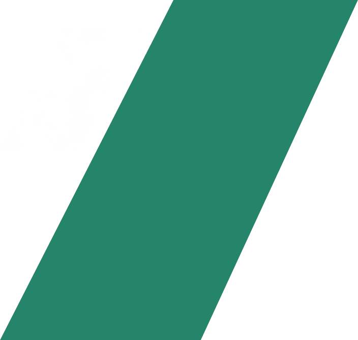 shape